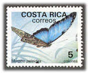 Mariposa - Costa Rica