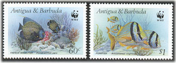 Peces - Antigua & Barbuda