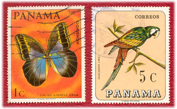 Mariposa y Guacamaya - Panam&aacute;