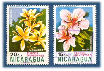 Flores silvestres - Nicaragua