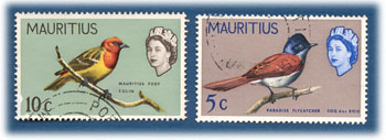 P&aacute;jaros - Mauritius