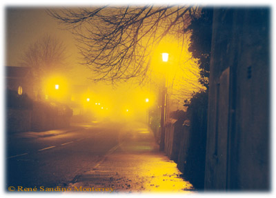 Calle de Werrington (Inglaterra) con neblina