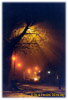 Calle principal de Werrington (Inglaterra) con neblina